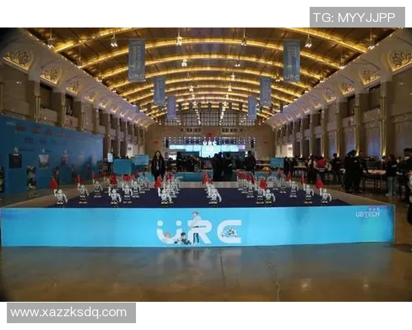 南京极限运动队转型之路探索与挑战的特别报道