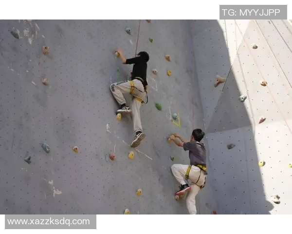 南京攀岩队个人能力提升之路探讨与热议